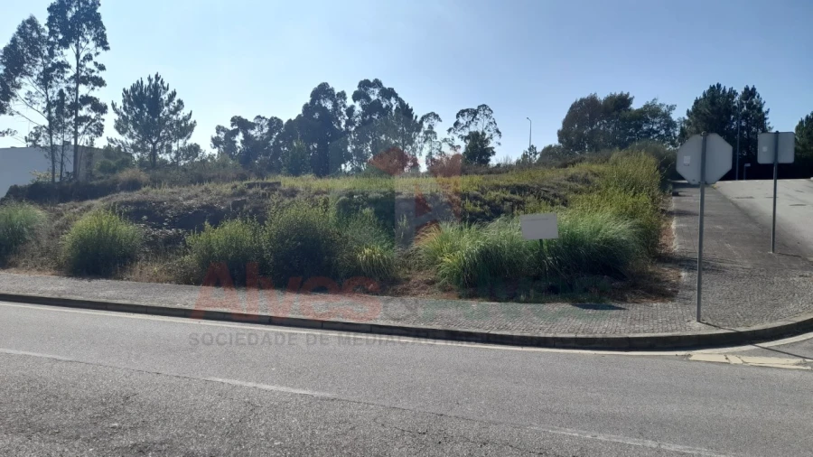 Terreno para Venda em Folgosa