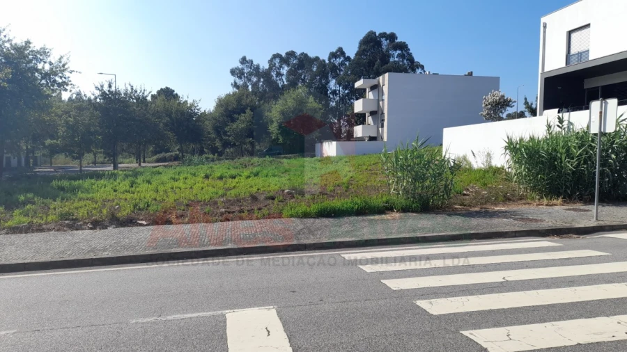 Terreno para Venda em Folgosa Foto 5