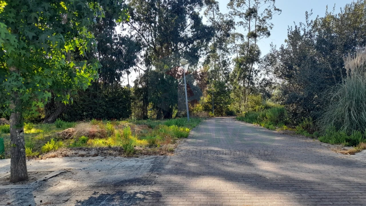 Terreno para Venda em Folgosa Foto 9