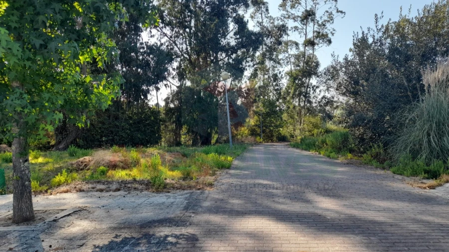 Terreno para Venda em Folgosa Foto 9