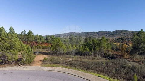 Armazém para Venda em Tortosendo