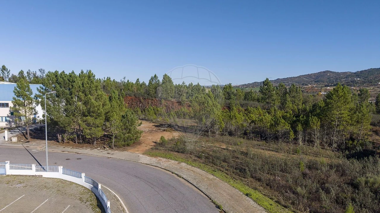 Armazém para Venda em Tortosendo Foto 7