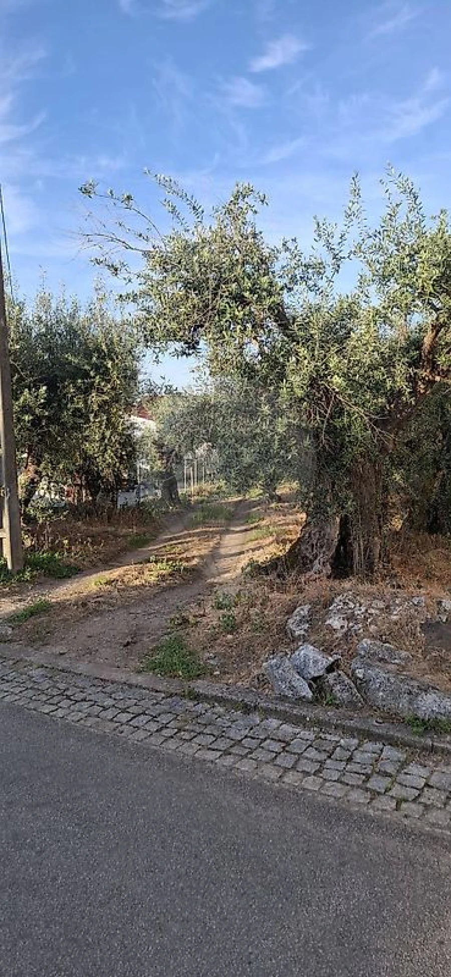 Terreno para Venda em Castelo Branco Foto 4