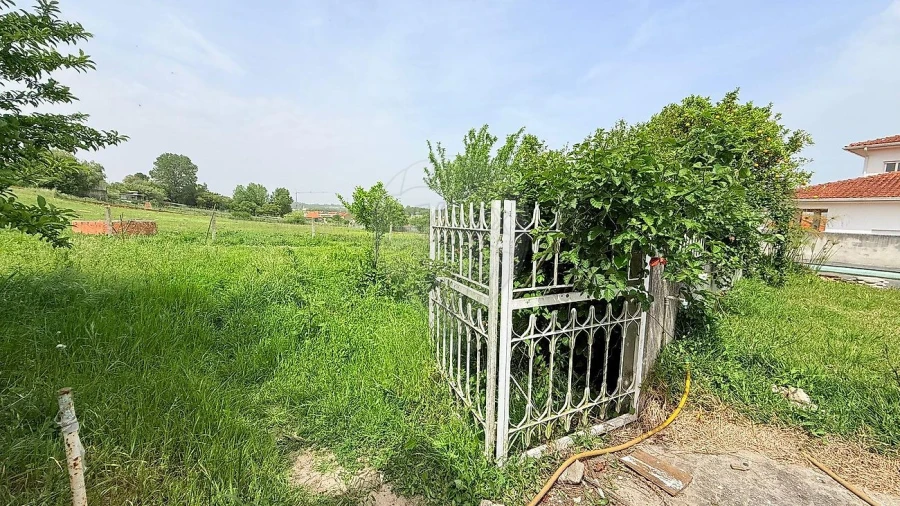 Moradia T3 para Venda em Fermentelos Foto 11