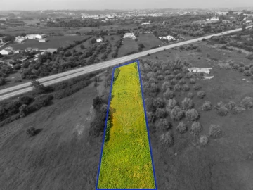 Terreno para Venda em Cartaxo e Vale da Pinta