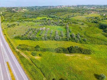 Terreno para Venda em Cartaxo e Vale da Pinta