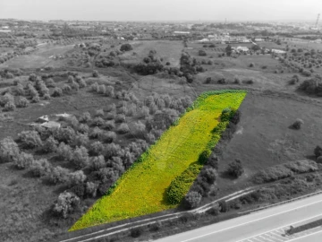 Terreno para Venda em Cartaxo e Vale da Pinta