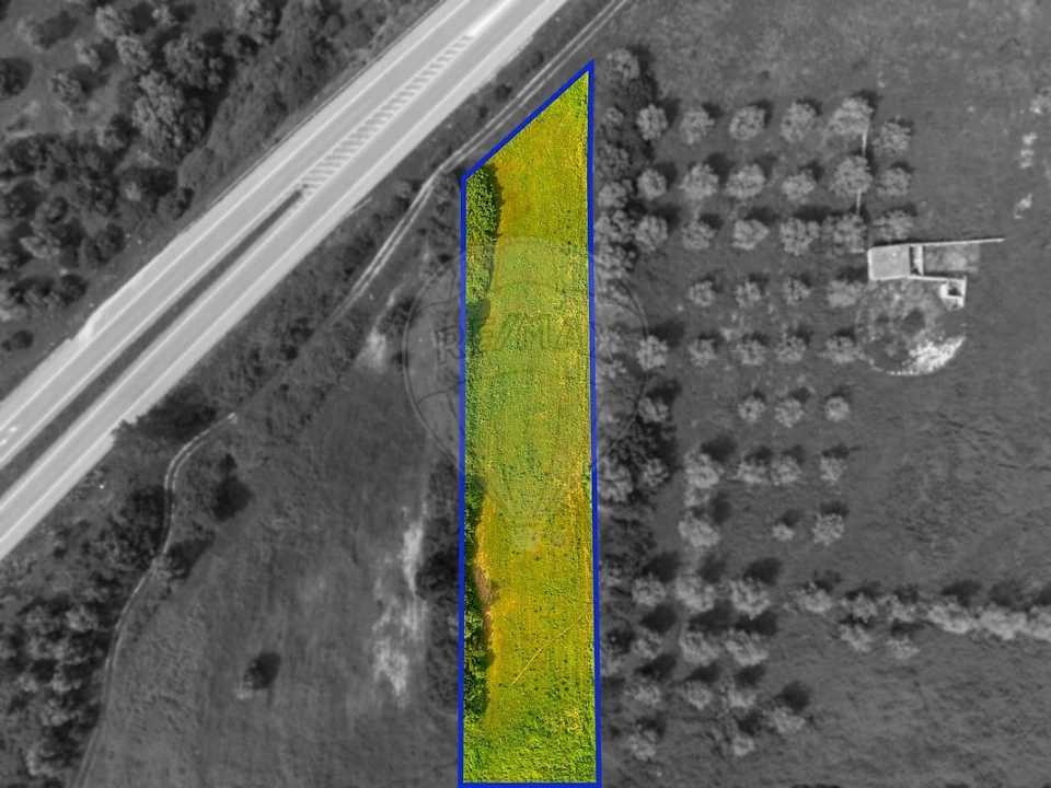 Terreno para Venda em Cartaxo e Vale da Pinta Foto 3