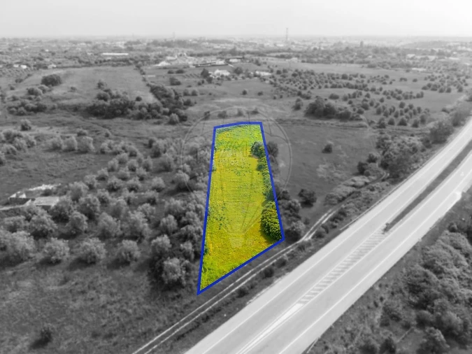 Terreno para Venda em Cartaxo e Vale da Pinta Foto 6