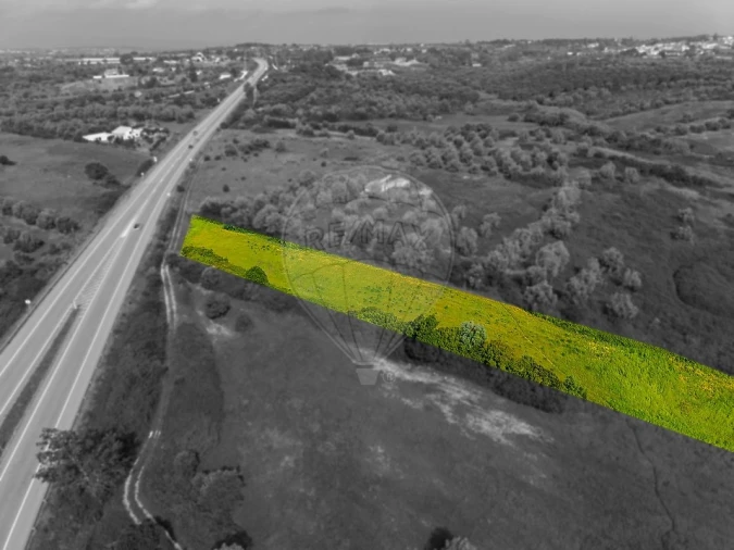 Terreno para Venda em Cartaxo e Vale da Pinta Foto 8