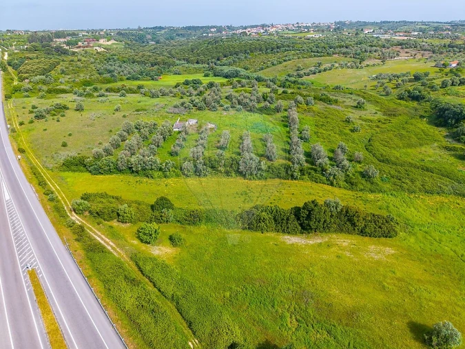 Terreno para Venda em Cartaxo e Vale da Pinta Foto 10