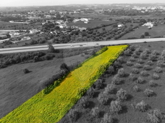 Terreno para Venda em Cartaxo e Vale da Pinta Foto 5