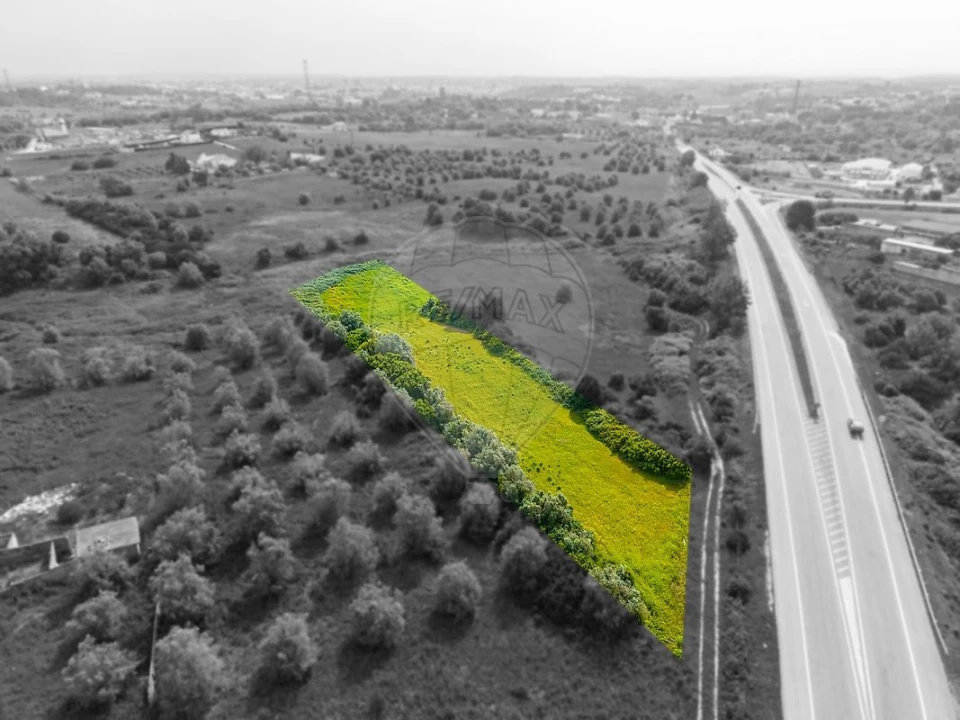 Terreno para Venda em Cartaxo e Vale da Pinta Foto 4