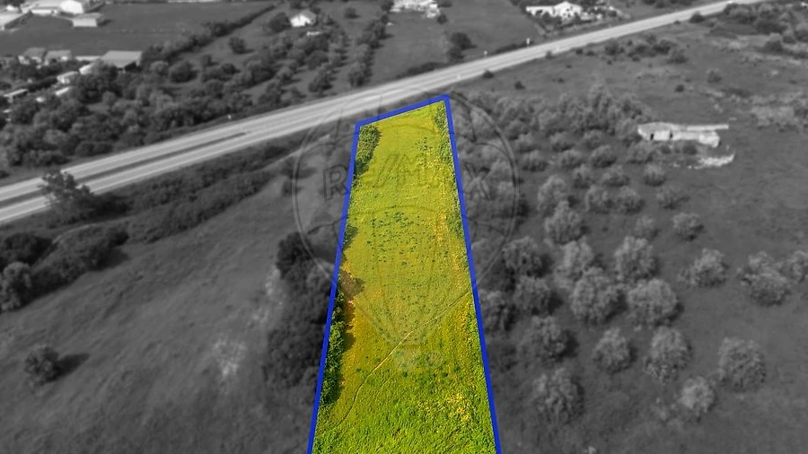 Terreno para Venda em Cartaxo e Vale da Pinta