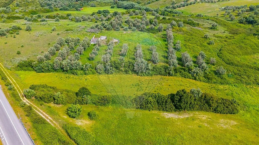 Terreno para Venda em Cartaxo e Vale da Pinta