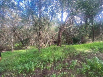 Terreno para Venda em Colares