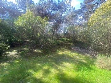 Terreno para Venda em Colares