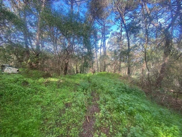 Terreno para Venda em Colares
