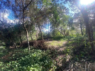 Terreno para Venda em Colares