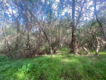 Terreno para Venda em Colares