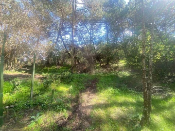 Terreno para Venda em Colares