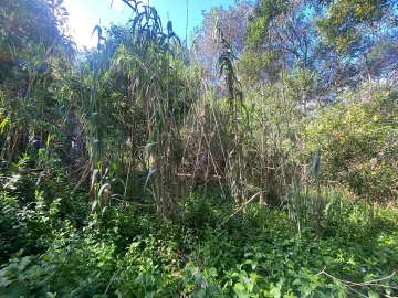 Terreno para Venda em Colares