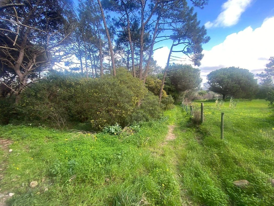 Terreno para Venda em Colares Foto 10