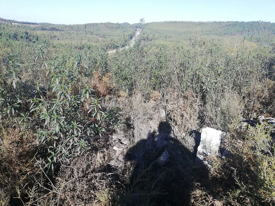 Terreno para Venda em Sardoal Foto 1