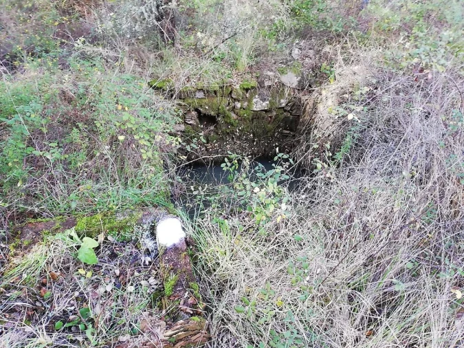 Terreno para Venda em Sardoal Foto 3