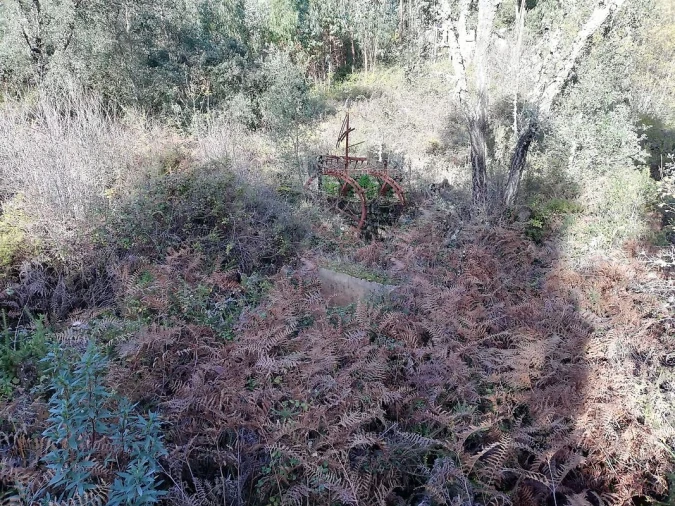 Terreno para Venda em Sardoal Foto 2