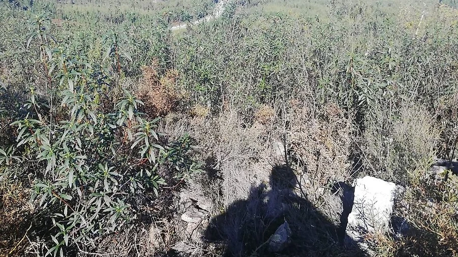 Terreno para Venda em Sardoal