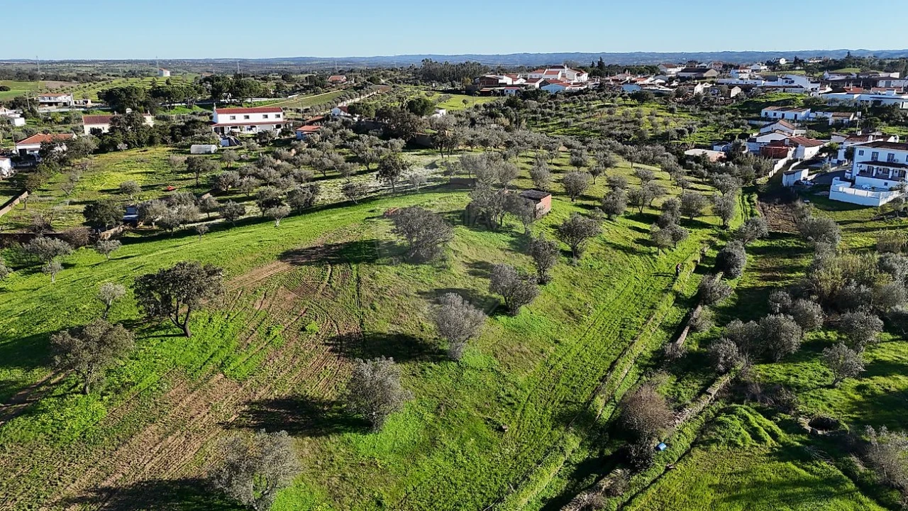 Terreno para Venda em Ourique Foto 4