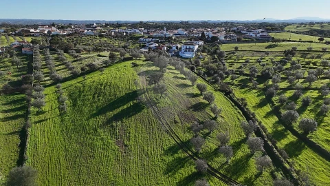 Terreno para Venda em Ourique
