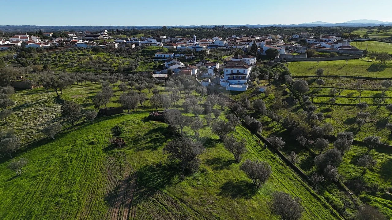 Terreno para Venda em Ourique Foto 5