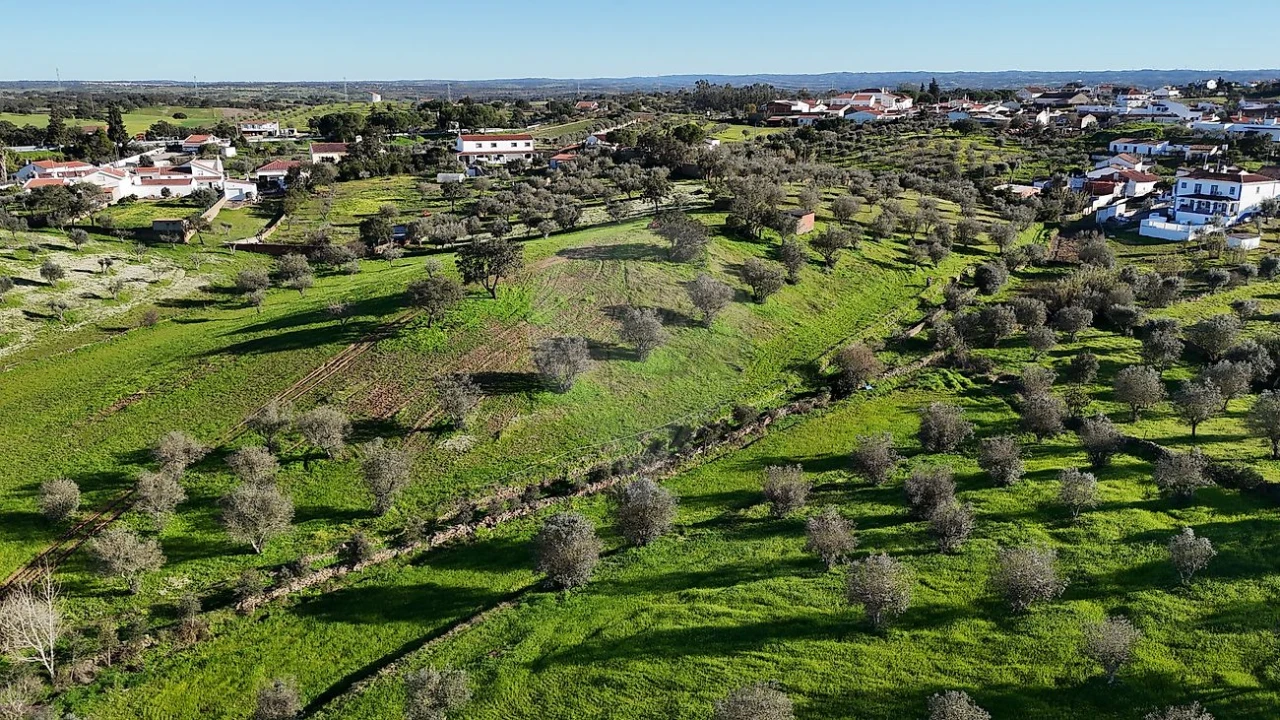 Terreno para Venda em Ourique Foto 6