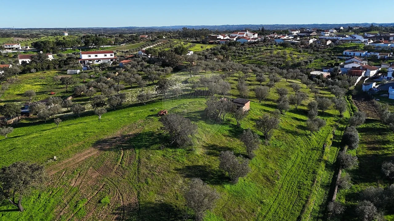 Terreno para Venda em Ourique Foto 2