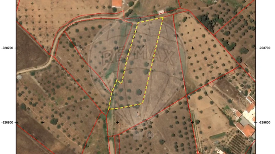 Terreno para Venda em Ourique