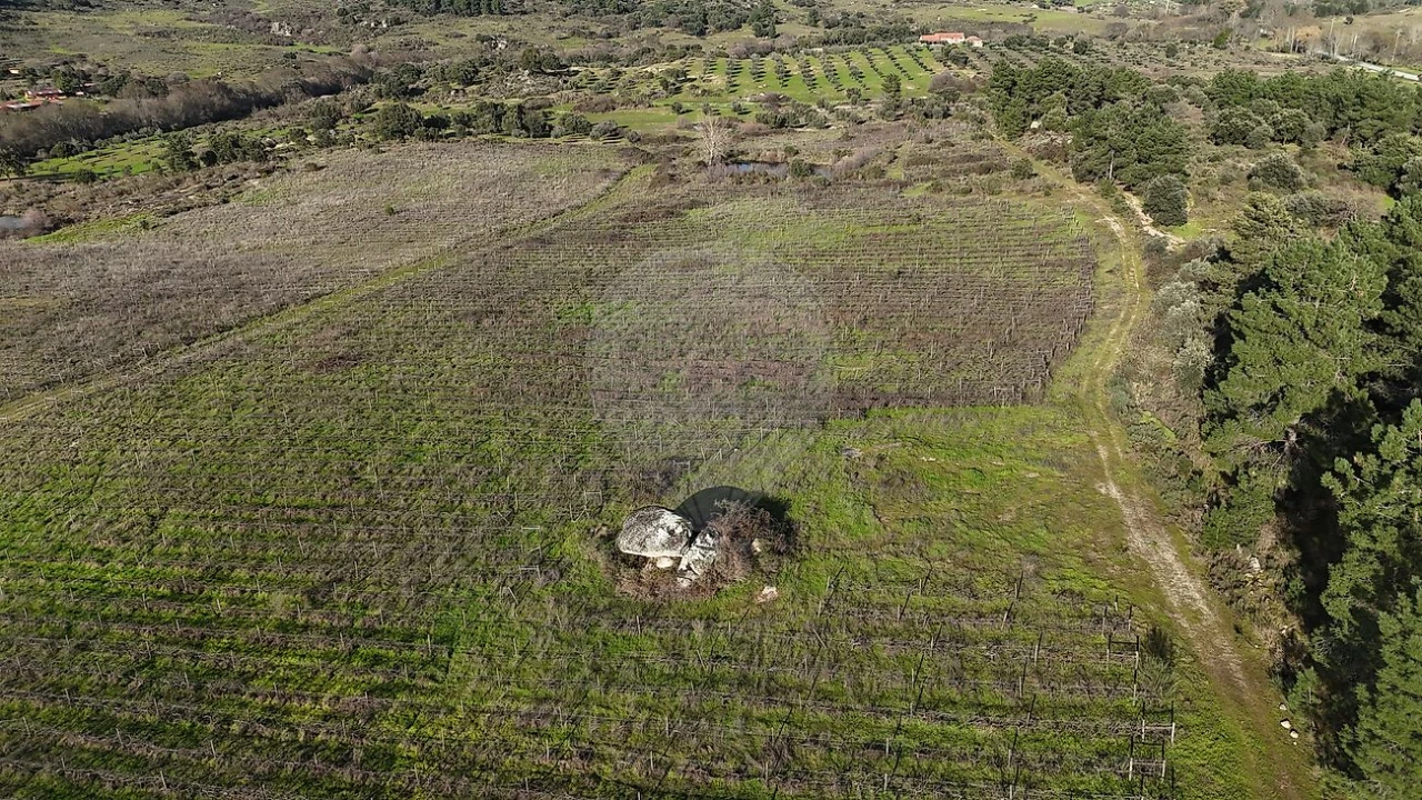 Terreno para Venda em São Miguel de Acha Foto 9