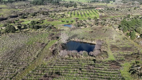 Terreno para Venda em São Miguel de Acha