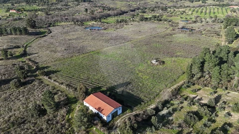 Terreno para Venda em São Miguel de Acha