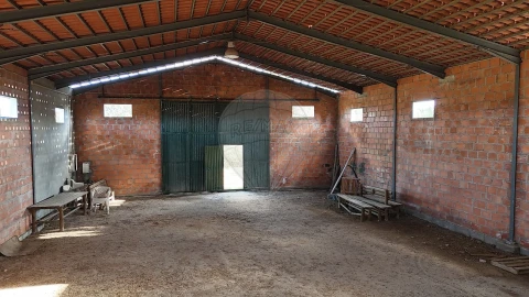 Terreno para Venda em São Miguel de Acha