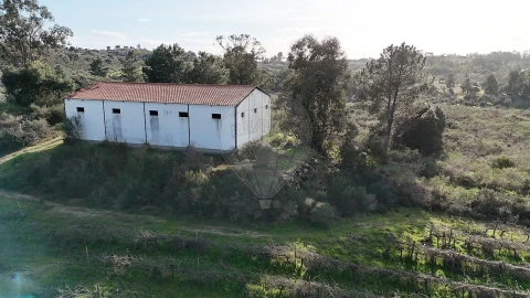 Terreno para Venda em São Miguel de Acha