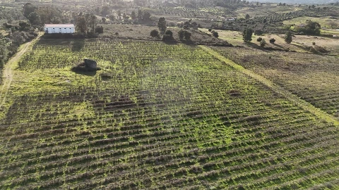Terreno para Venda em São Miguel de Acha