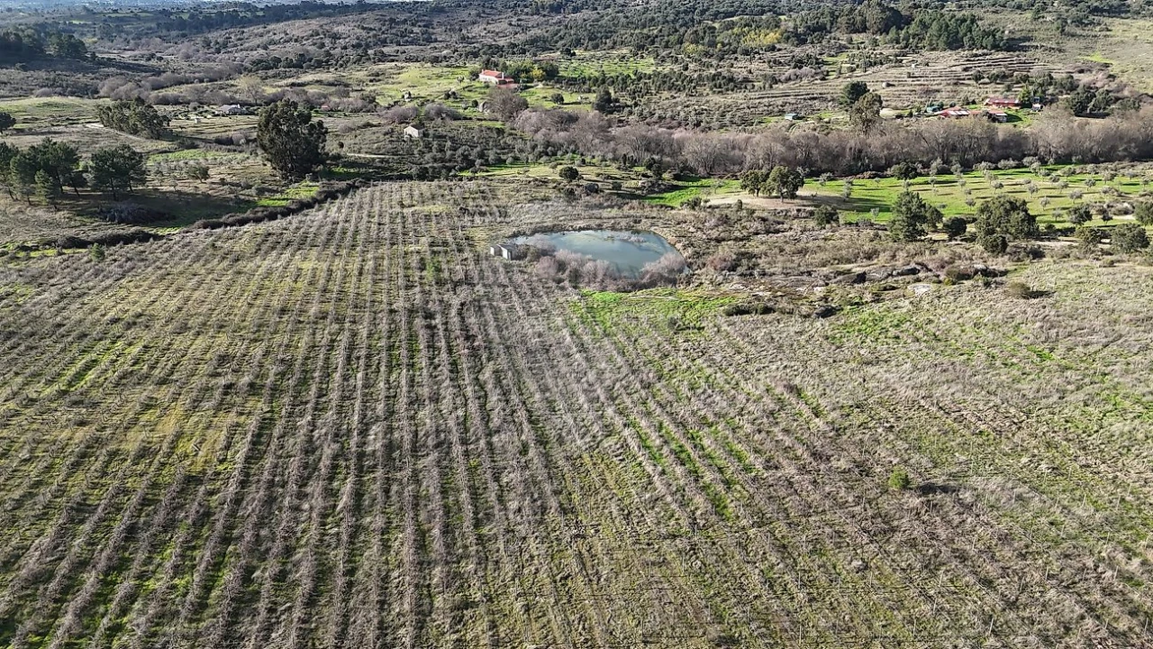 Terreno para Venda em São Miguel de Acha Foto 14
