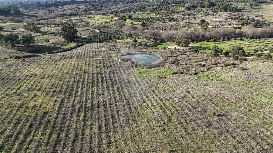 Terreno para Venda em São Miguel de Acha Foto 14