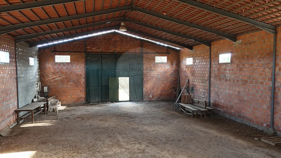 Terreno para Venda em São Miguel de Acha Foto 12