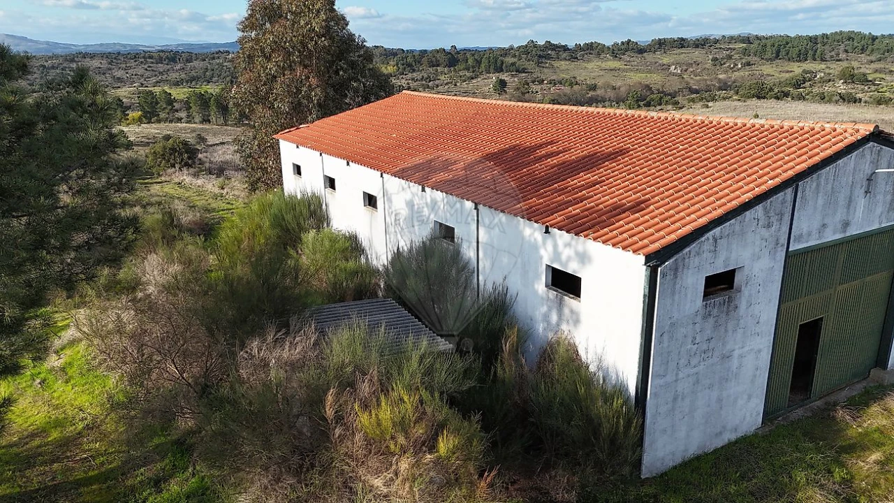 Terreno para Venda em São Miguel de Acha Foto 2