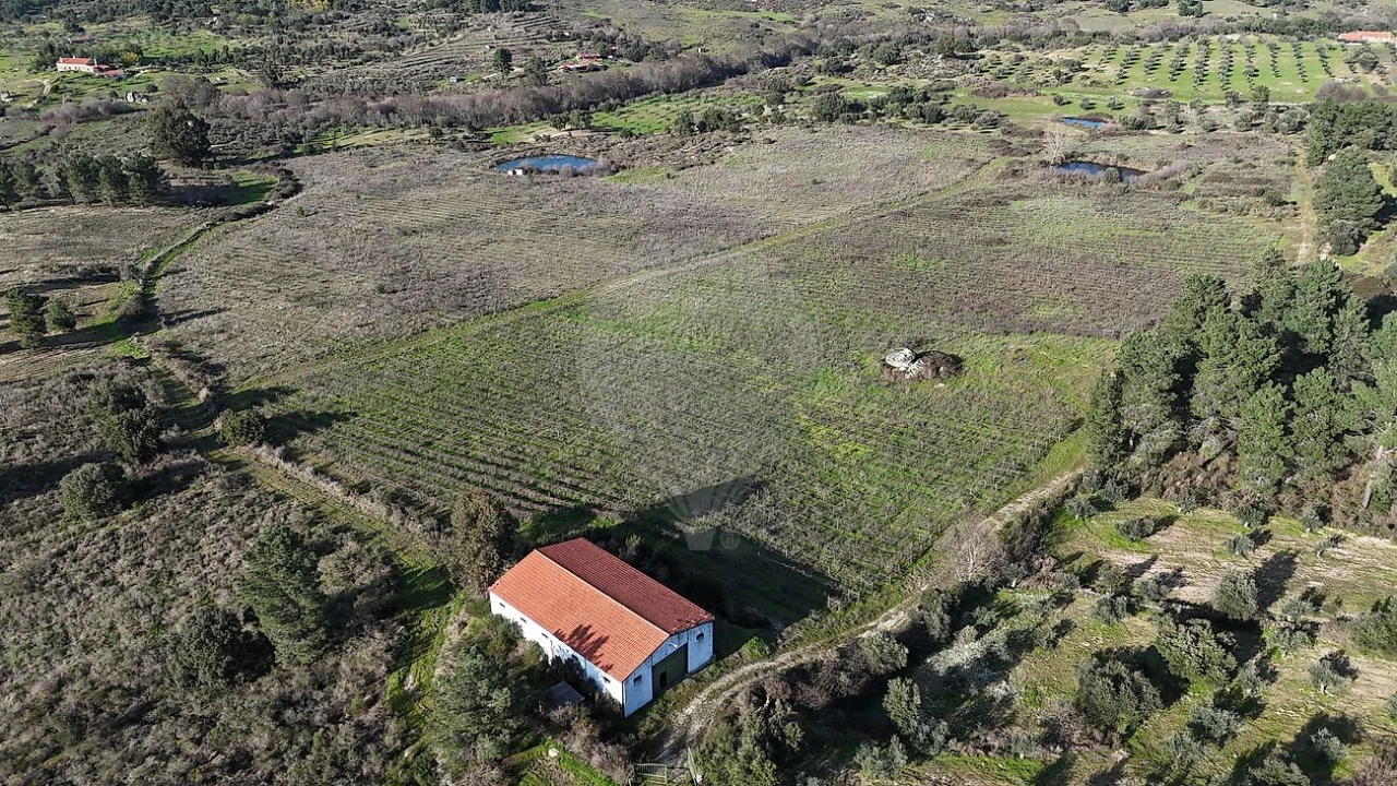 Terreno para Venda em São Miguel de Acha Foto 10