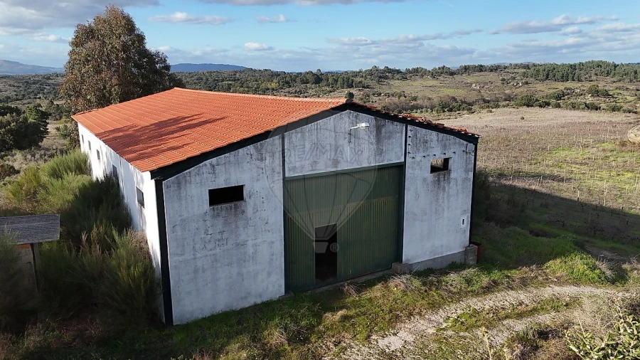 Terreno para Venda em São Miguel de Acha
