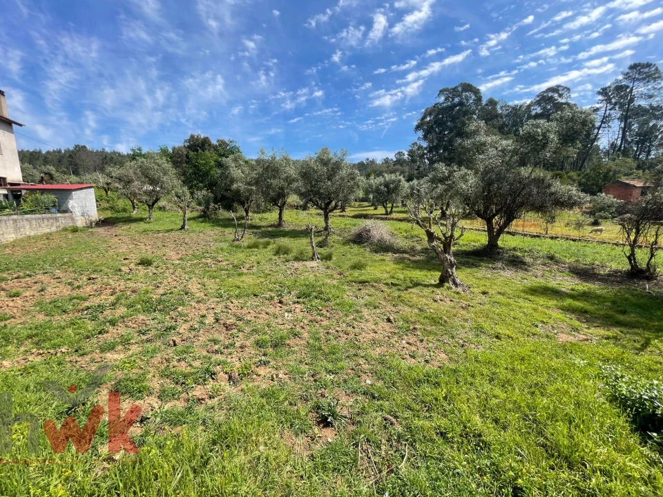 Moradia T3 para Venda em Sarzedo Foto 3